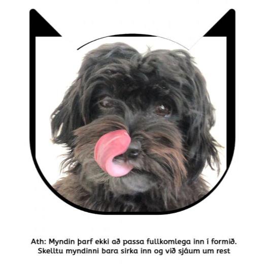 Vörumynd