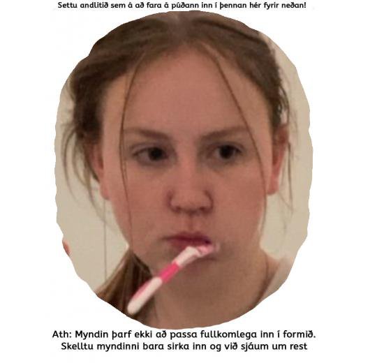 Vörumynd