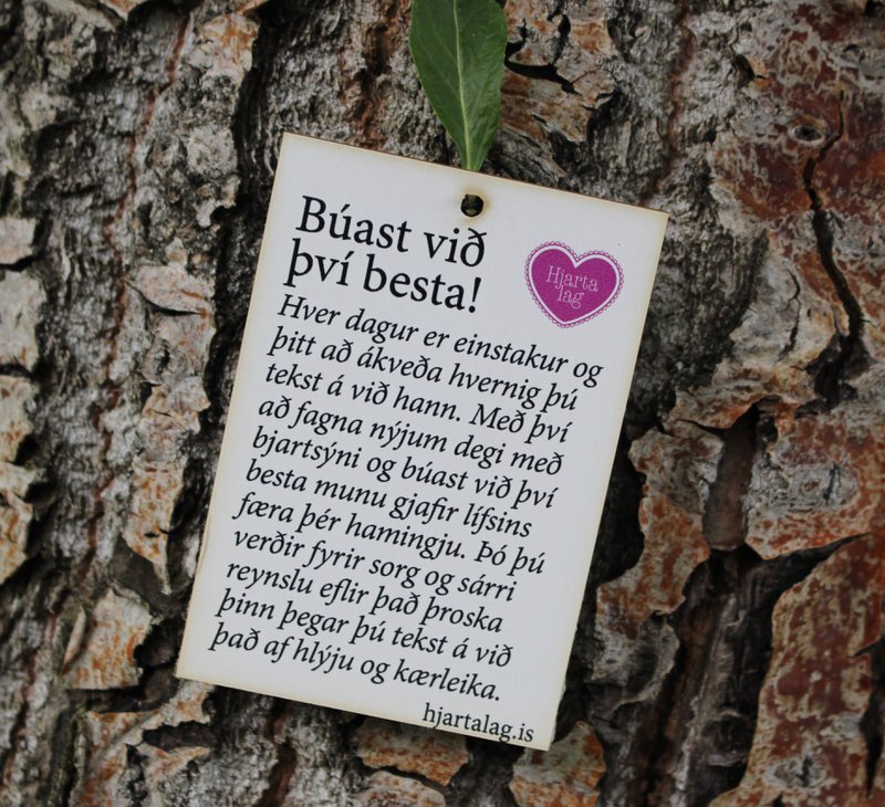 Vörumynd