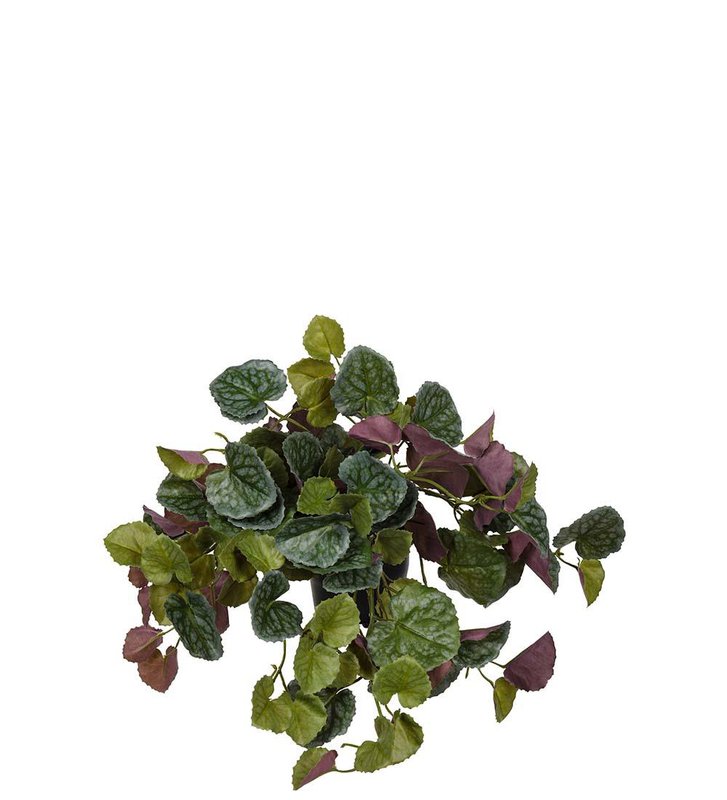 Vörumynd