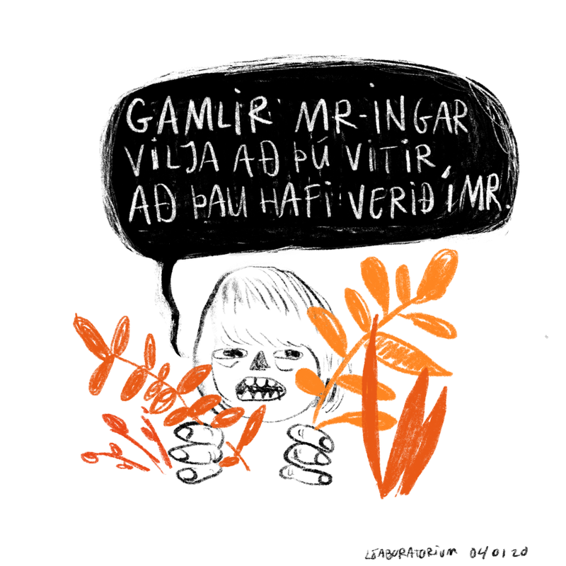 Vörumynd